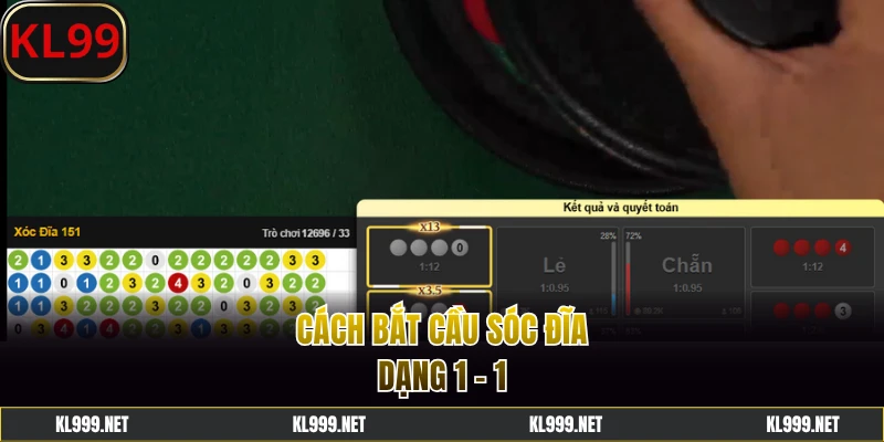 Cách bắt cầu Sóc Đĩa thích hợp cho người mới